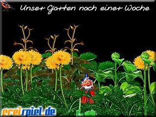Blumen f�r Deinen PC!